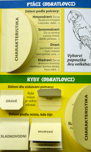 Školní lapbook - Prvouka: Živočichové - pro 3. ročník ZŠ